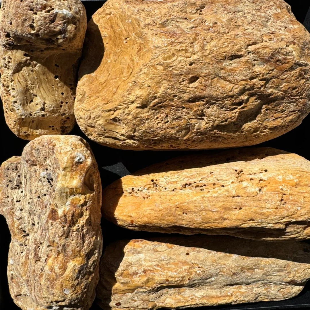 صورة مصغرة 1